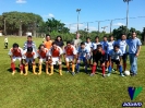 Copa Futebol 2014