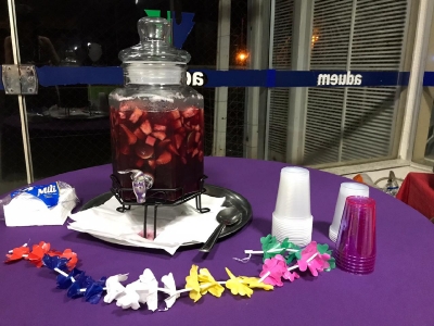 Baile a Fantasia 2019-9