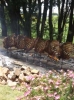 Costela ao Fogo de Chão