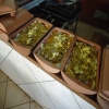 I Peixe na Telha da ADUEM