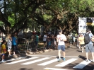 II Volta Rústica da UEM