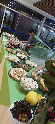 Baile tropical-2