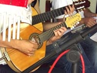 Costela